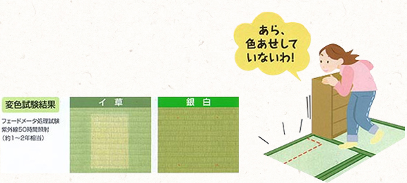 Sp ダイケン畳 健やかくん 畳 大阪 山本製畳所 摂津 吹田 豊中 高槻 茨木 国産 網戸 襖 障子