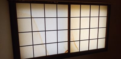 IMG_20260421_141921